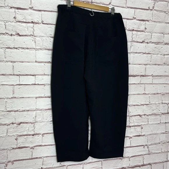 Roucha Pal Crepe Pant in Black